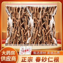 500g��ɰ�ʸ���ș������ꖴ���ɰ�ʸɸ�ɳ�ʏV�|�خa���r�Ҝ��ݲ�