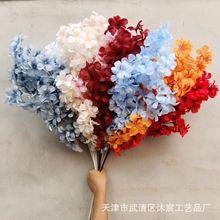 �S�����l�����u���� ��픷���Gֲֲ����~ ��c�Y�üҾ��bٻ�