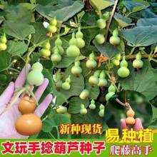 �������J��С�N�������̨����߹�΢�ͺ��J����ͥԺ�Nֲ���殅Դ