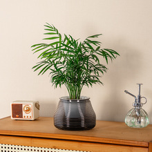 简约懒人自吸水花盆绿萝吊兰家用室内花卉塑料树脂盆透气水培花盆