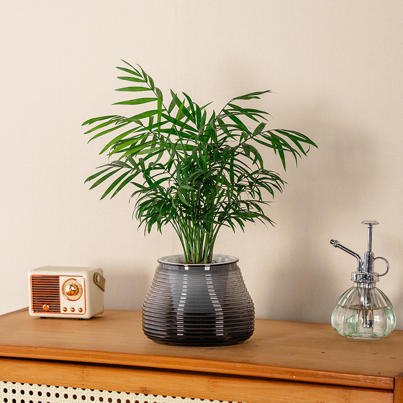 Simple Lazy Self-Absorbent Flowerpot Green Chloropsis Household Indoor Flower Plastic Resin Basin Breathable Hydroponic Flowerpot