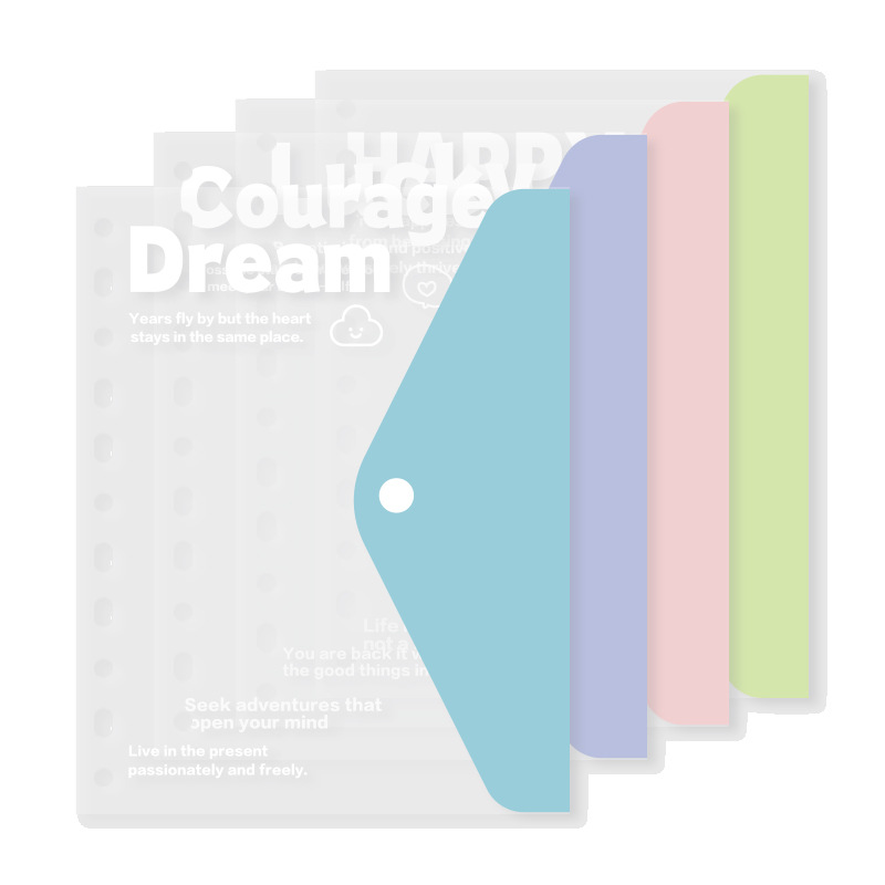 Pequeña bolsa de archivos A4 fresca, libro de datos de hojas sueltas, bolsa de almacenamiento de papel de prueba para estudiantes, libro de almacenamiento de oficina de estilo ins de alto valor