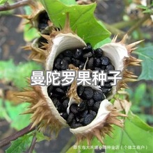 �����_���N��ͥԺ�������Լ�ͥ�̨�Nֲ���ݻ����ݻ��ļ����N��