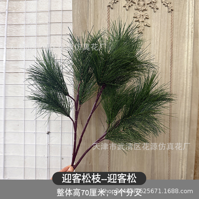 웰컴 파인 - 그린