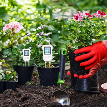 31@zyx؝ӋֲphֵyԇP|նșzyx