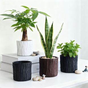 �GֲС�����Ƥ�����㻨�辫�¶������С���Ի���o�׬F������