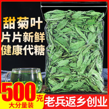 甜菊叶甜叶菊500g代糖低糖甜味泡水喝苷泡茶新货特级花草茶叶