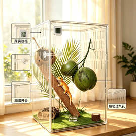 守宫饲养箱爬宠造景亚克力透明箱爬虫角蛙树蛙蜥蜴饲养专用养殖笼
