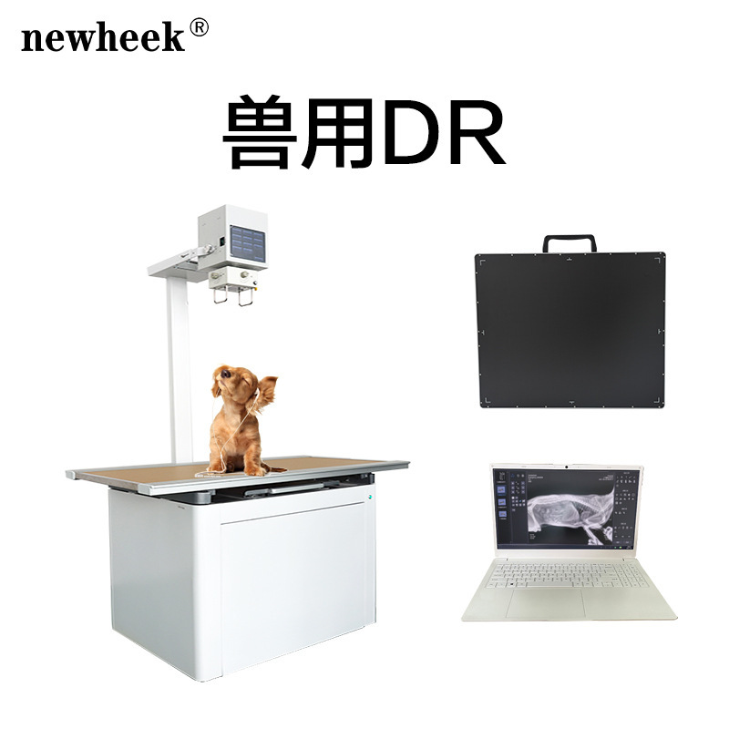 Factory Sells Pet Drx X-Ray Bed, Pet Hospital X-Ray Examination Machine, Pet Dr Imaging System