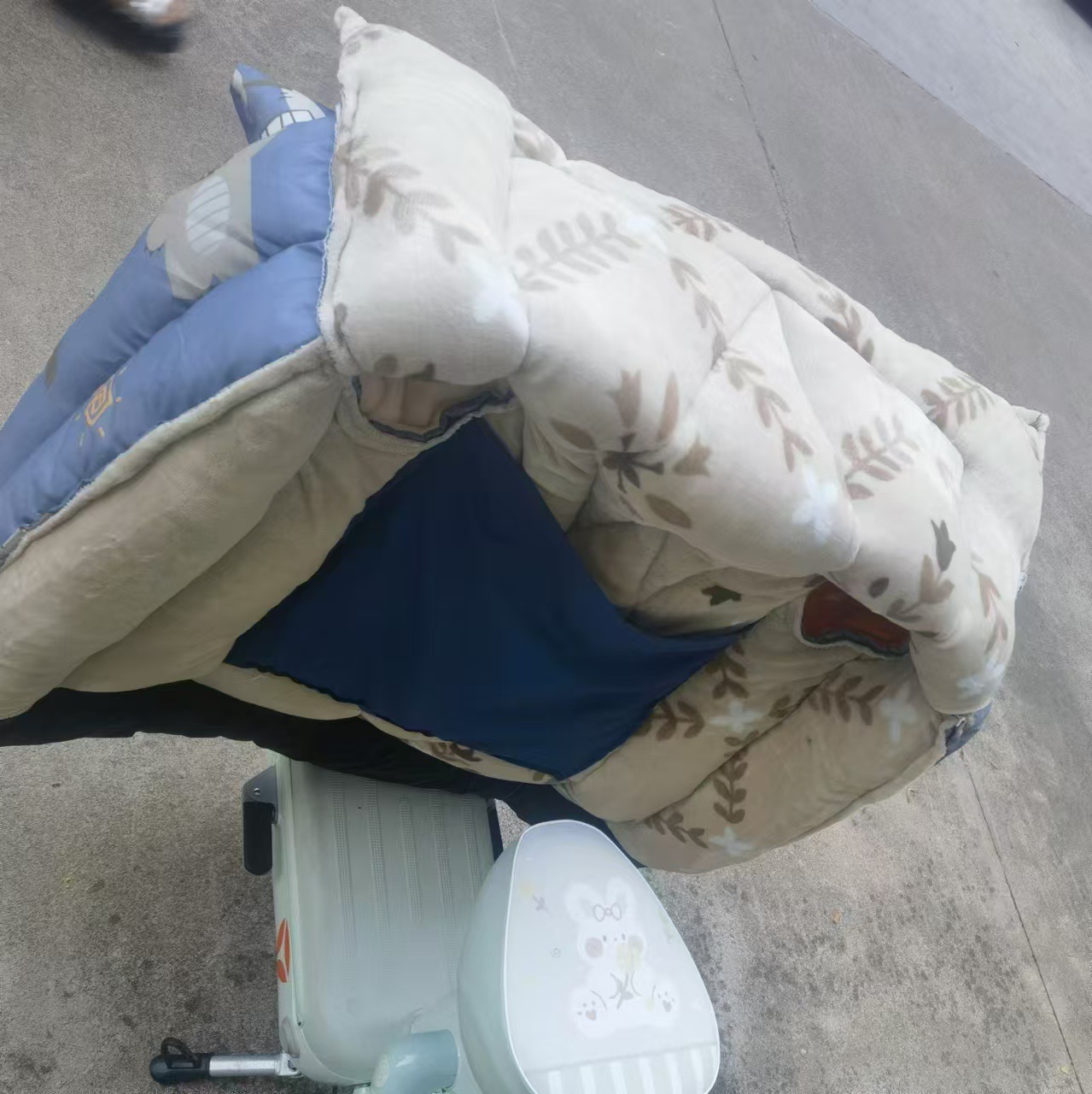 微信图片_20240831205835