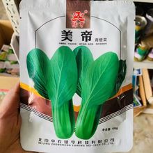 ๣Сײ˷Nļ͟͝װιļСײ˷N