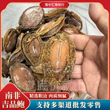 厂家批发海味干货3头4头5头6头8头10头12头南非吉品鲍精选粗边