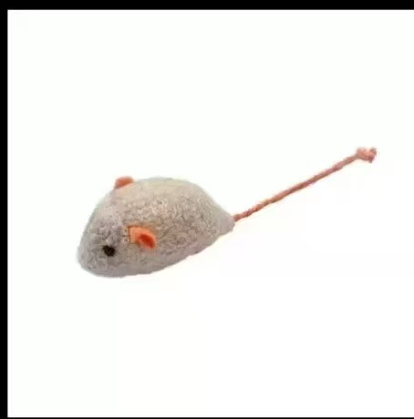 오렌지 캣닢 쥐