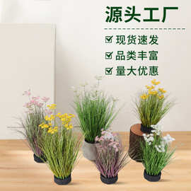 仿真芦苇蕾丝带花盆栽狗尾巴草仿真绿植室内装饰造景假草花批发
