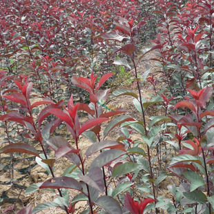 ���~����N�� �²Ƀ��| �t�~��N�� ���~��N�� ��ɫ�G���е���