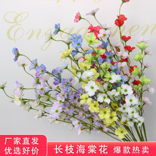 ��c���滨�L֦���Ļ� ��Y�õ�����߻�ˇ·���廨�Ž����ٻ���