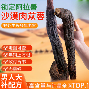 ��޽�������������ܛ�ԃ��ɹ�ɐ��ɳĮ޽�����������
