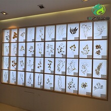 透明腊叶 植物腊叶 包埋腊叶 带框带标签教学摆件