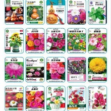 lͥ@ˇԻܷNСJտˮɏx۹