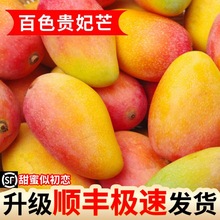 【顺丰】百色贵妃芒果当季热带新鲜孕妇甜水果整箱红金龙批发海南