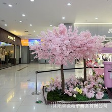 �̈��ѻ����҃ȷ�����͸߶˘��һ��Gֲ��[�O���滨�쾰�bٻ�