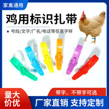 �u�_�h�������u�_���������p�@���������u���Z�����g�����ʽ�_�h