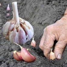 ����N�ӷN���L��̦�^��N�����Ƥ���ظ���������ԷN���]