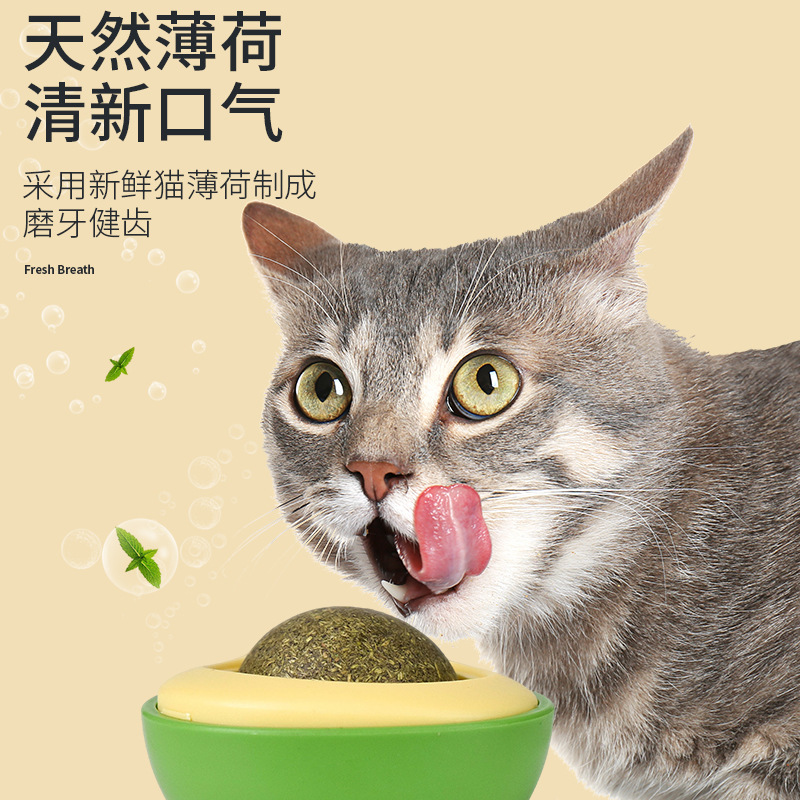 Celebridad en línea tamaño pequeño aguacate catnip bola diversión gato juguete insecto Billa fruta gato divertido aliviar gato tapado suministros al por mayor