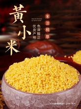 Ұ�����SС�������r��5��С�S�׼Zʳɽ��ŴС��������s�Z��Ş��