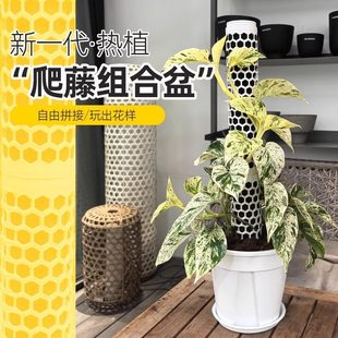 ˮ̦�������������ֲ�������G�q��ƴ������ֲ��������֧�ΗU