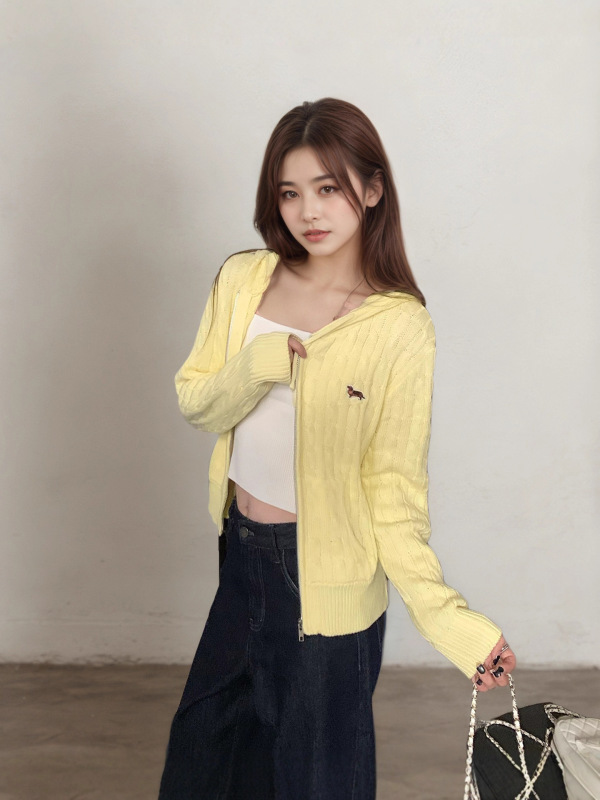 奢缇家小麻花2025冬款新款灰色毛衣慵懒针织开衫连帽上衣女装宽松|undefined