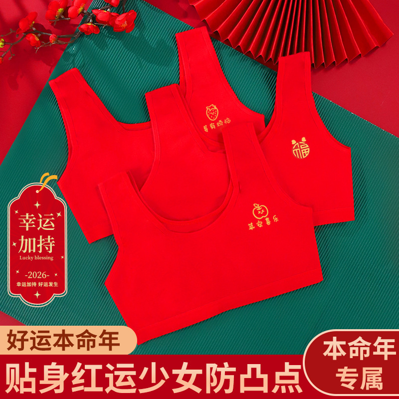 Red Underwear for Girls in Their Zodiac Year, Age 12, Puberty Development Period, Ages 10 to 14, Cotton Bra