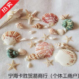 天然贝壳海螺海星材料包手工拍摄背景风铃漂流瓶鱼缸装饰套装