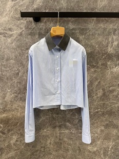 Niche New Women's Logo Embroidered Lap Pinstripe Long-sleeved Shirt Retro Artistic Short H-style