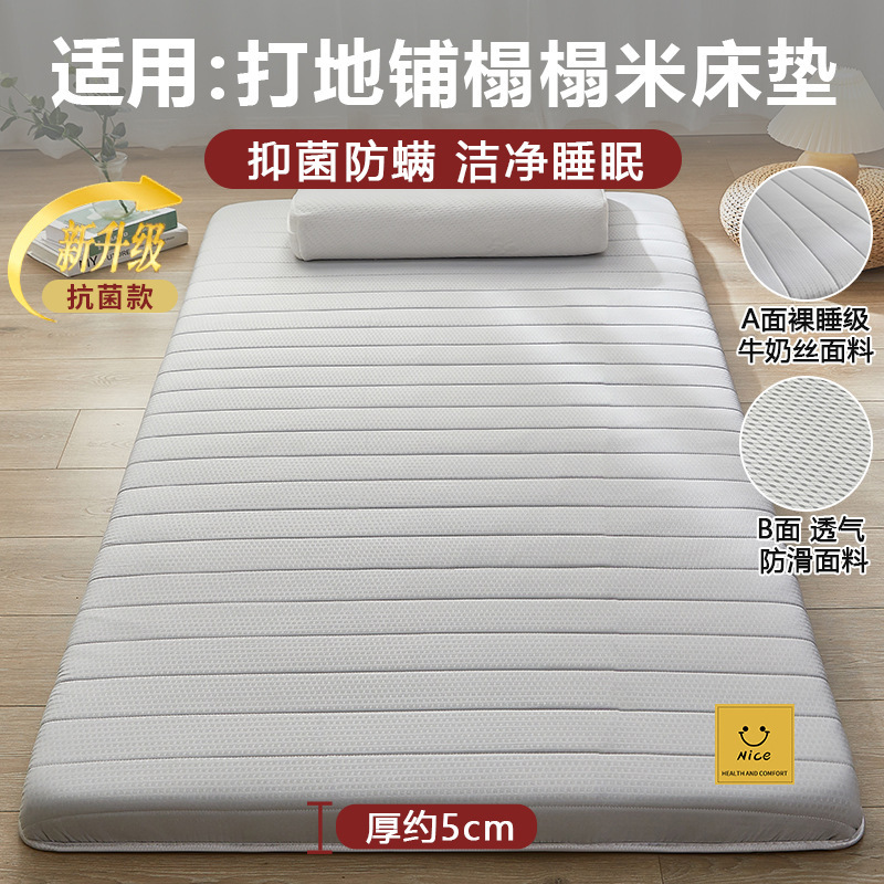 地铺睡垫家用床垫软垫防潮地垫打地铺神器租房专用垫学生宿舍单人|undefined