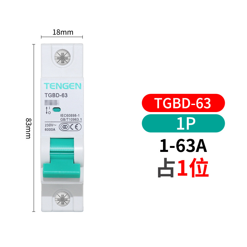 Tianzheng TGBD - 63 interruptor de aire 2p interruptor 1p hogar 3P trifásico 32a pequeño disyuntor 100a vacío image 11
