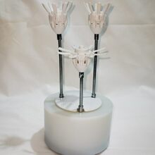 �_���� �Ԅ��_�ϻ� �q������