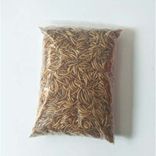 ��ʳ�Zʳ���ɢ�bС�~�ɸ�؛��������r�����Z��ˮС�r�ɞ����Ї�