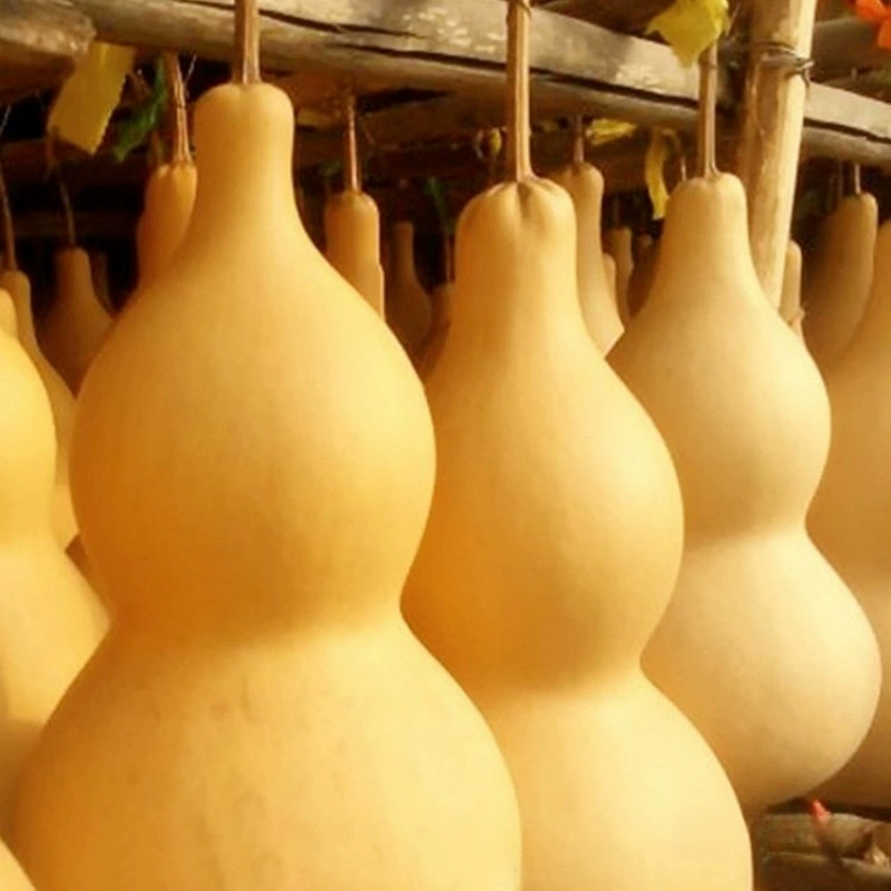 Натуральные украшения из тыквы для решения безопасности входа в гостиную, украшения из тыквы большого размера, настоящие маленькие подвески из тыквы с кранами.