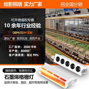 Customized Embedded Grille Light Graphene Strong Heat Dissipation Led Strip Light Living Room Light Intelligent Anti-Glare Grille Light