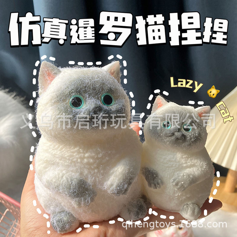 Super lindo gato gordo pellizco pellizco pelliz