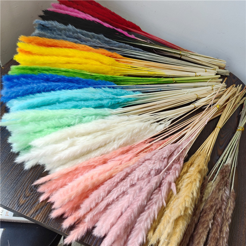 ins dried flower reed wedding decoration internet celebrity small reed home decoration pampas grass