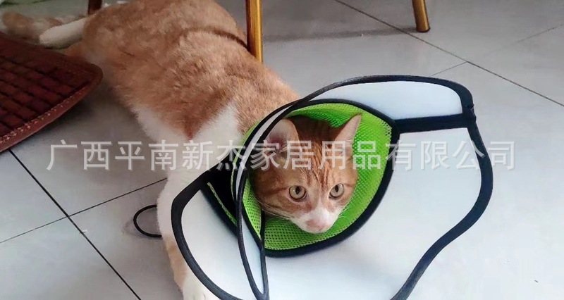 微信图片_20230901153131