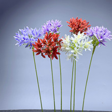 仿真单枝小百子莲紫穗兰非洲百合跨境热销家居婚庆花束摆件装饰