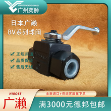 ձHIROSEV|HBV-X-T02-1032SyMHBVϵҺ