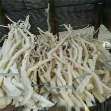 70干树枝去皮本色龙骨杆树杆白树枝树干装饰干枝枯枝树杈杆壁挂