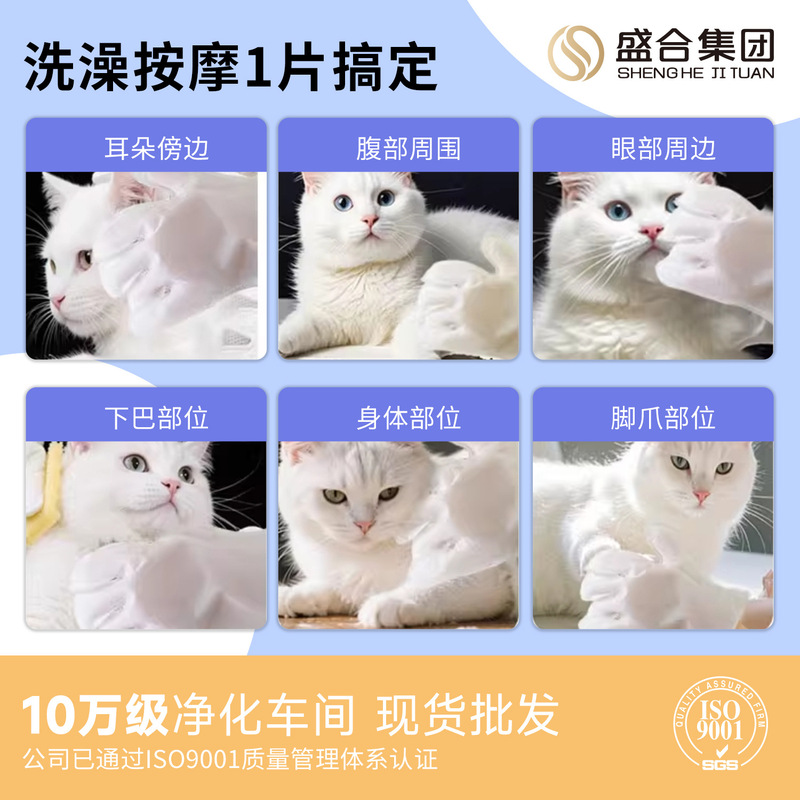 宠物免洗手套一次性洗澡神器宠物除臭清洁干洗spa手套厂家现货|undefined
