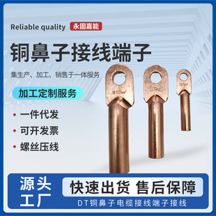 Dt Copper Nose Cable Terminal Block Wiring Nose Wire Terminal Ear Power Fittings Large Quantity Discount Wholesale
