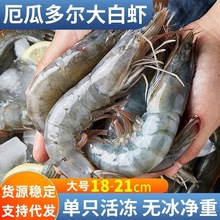 厄尔多瓜大虾2030新鲜冷冻单冻大虾盐冻大虾南美白虾青虾对虾海鲜