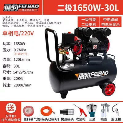 Oil-Free Silent Air Pump High Hava kompressorları - double-tube-air-supply-1650w-30l-air-spray-paint